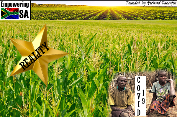EmpoweringSA: Living an irony in uncharted territory: When a bountiful maize harvest co-exists with hunger; by James Blignaut